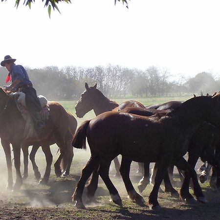 Estancia Don Silvano Guest House Diego Gaynor ภายนอก รูปภาพ
