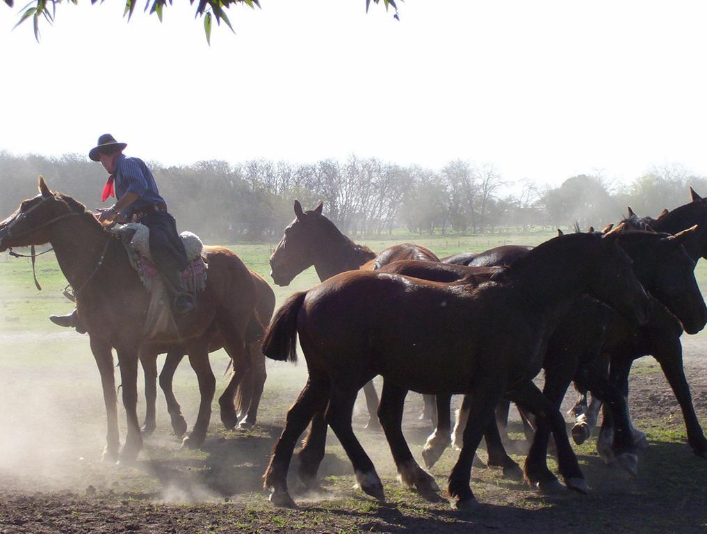 Estancia Don Silvano Guest House Diego Gaynor ภายนอก รูปภาพ
