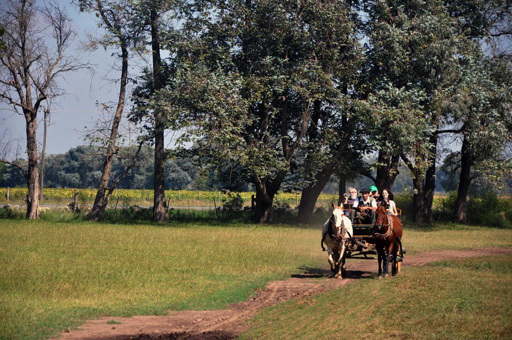 Estancia Don Silvano Guest House Diego Gaynor ภายนอก รูปภาพ